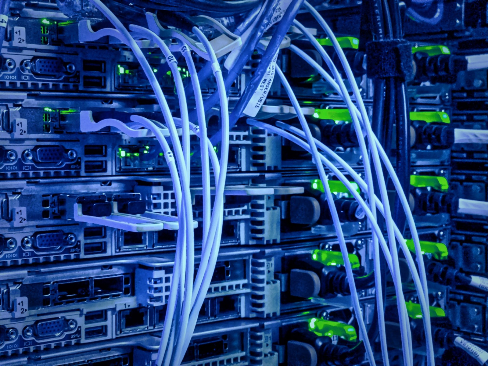 Indgang Processen (hvid, billede venstre) 